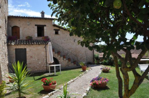 Гостиница Il Casale Di Ginetto  Касчиа
